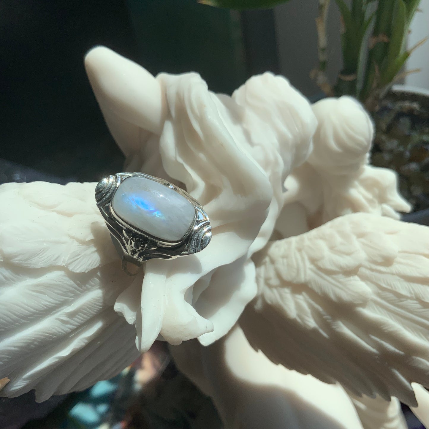 Moonstone Ring, size 7