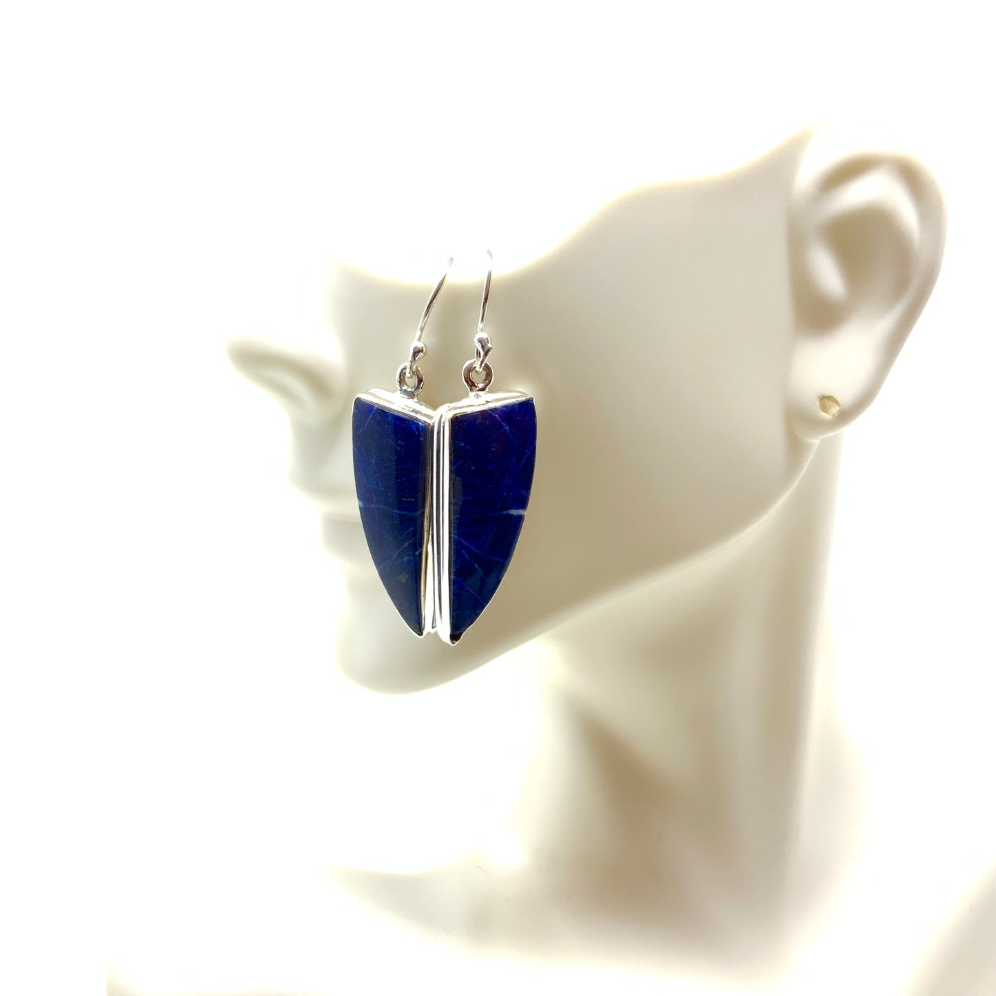 Sodalite Earrings