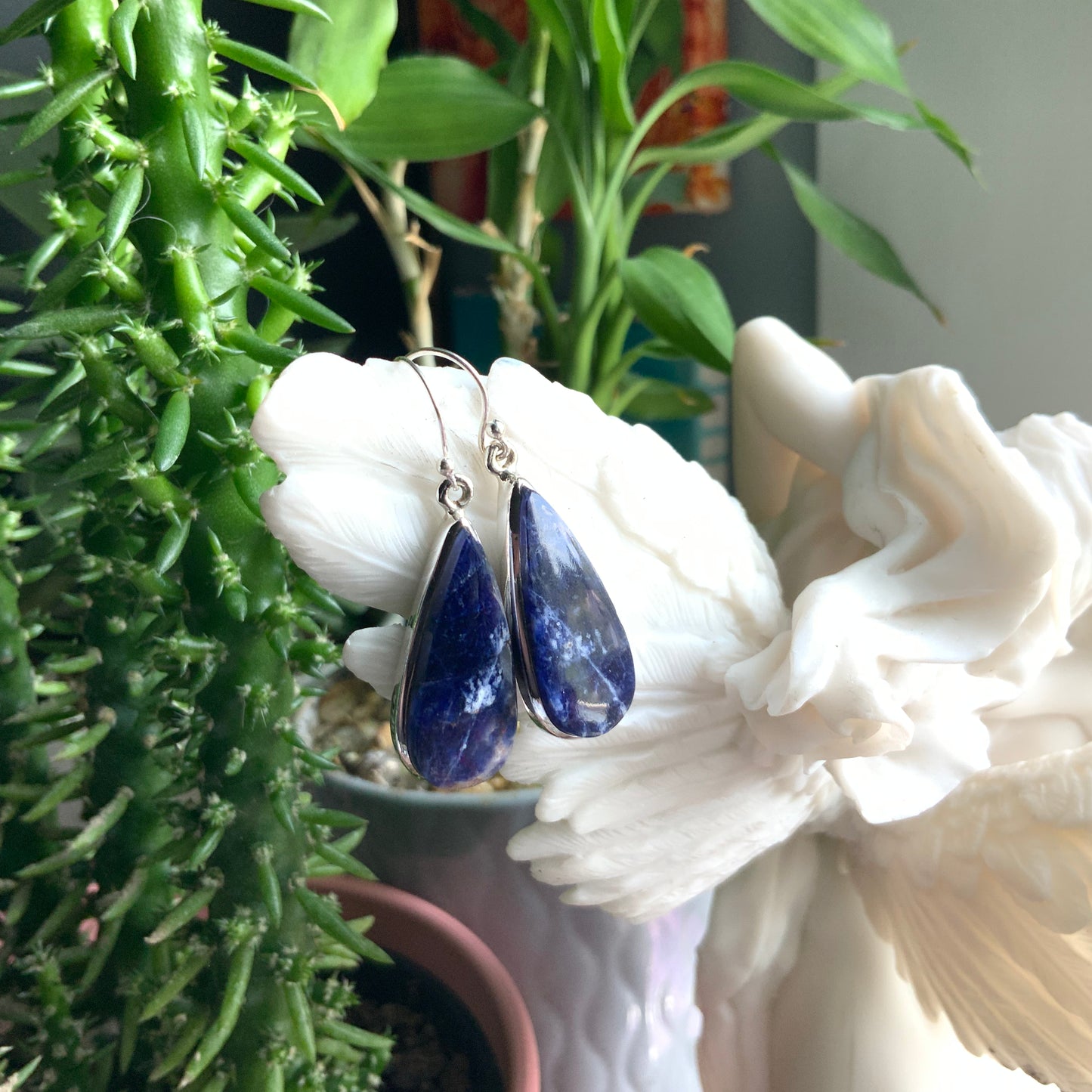 Sodalite Earrings