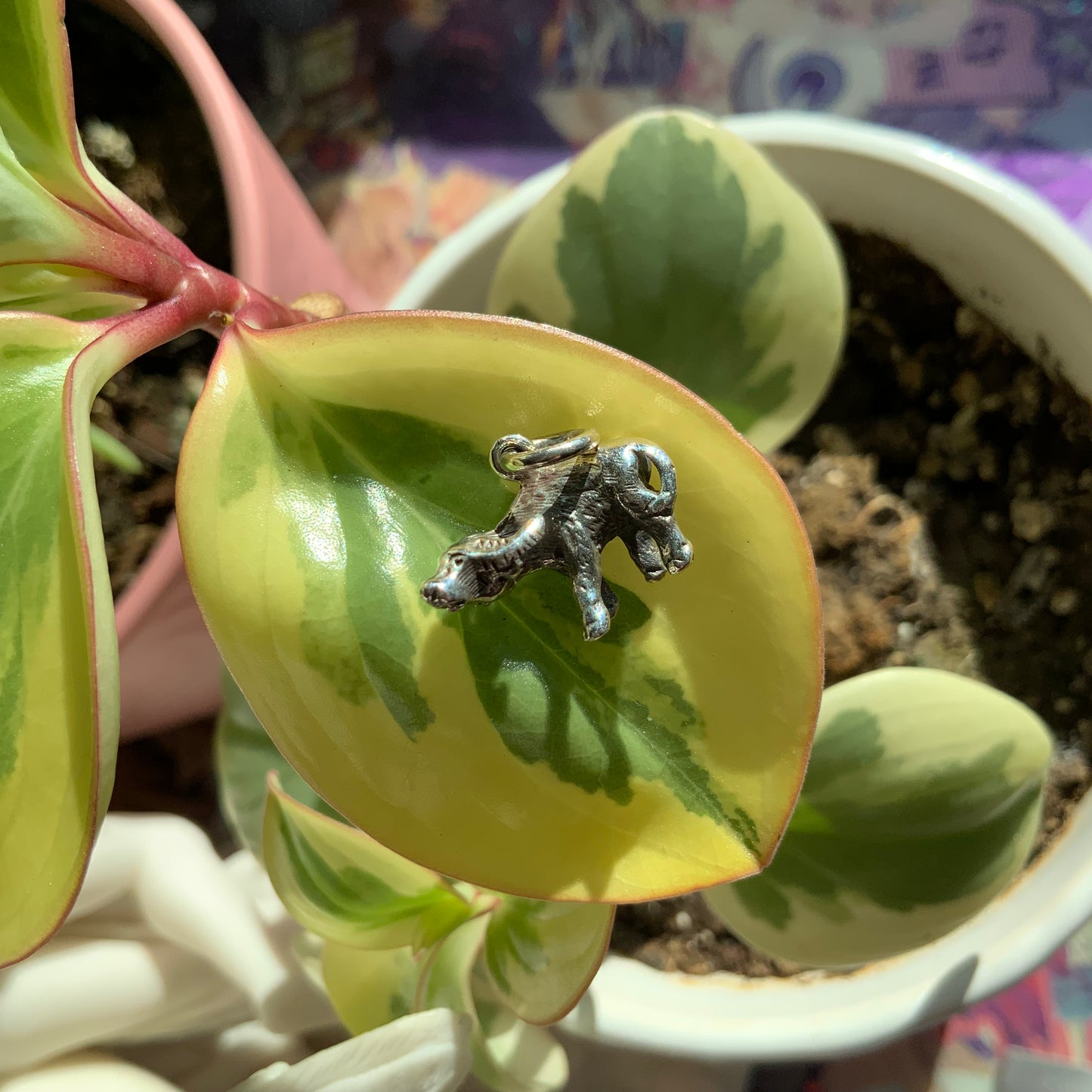 Water Buffalo Pendant