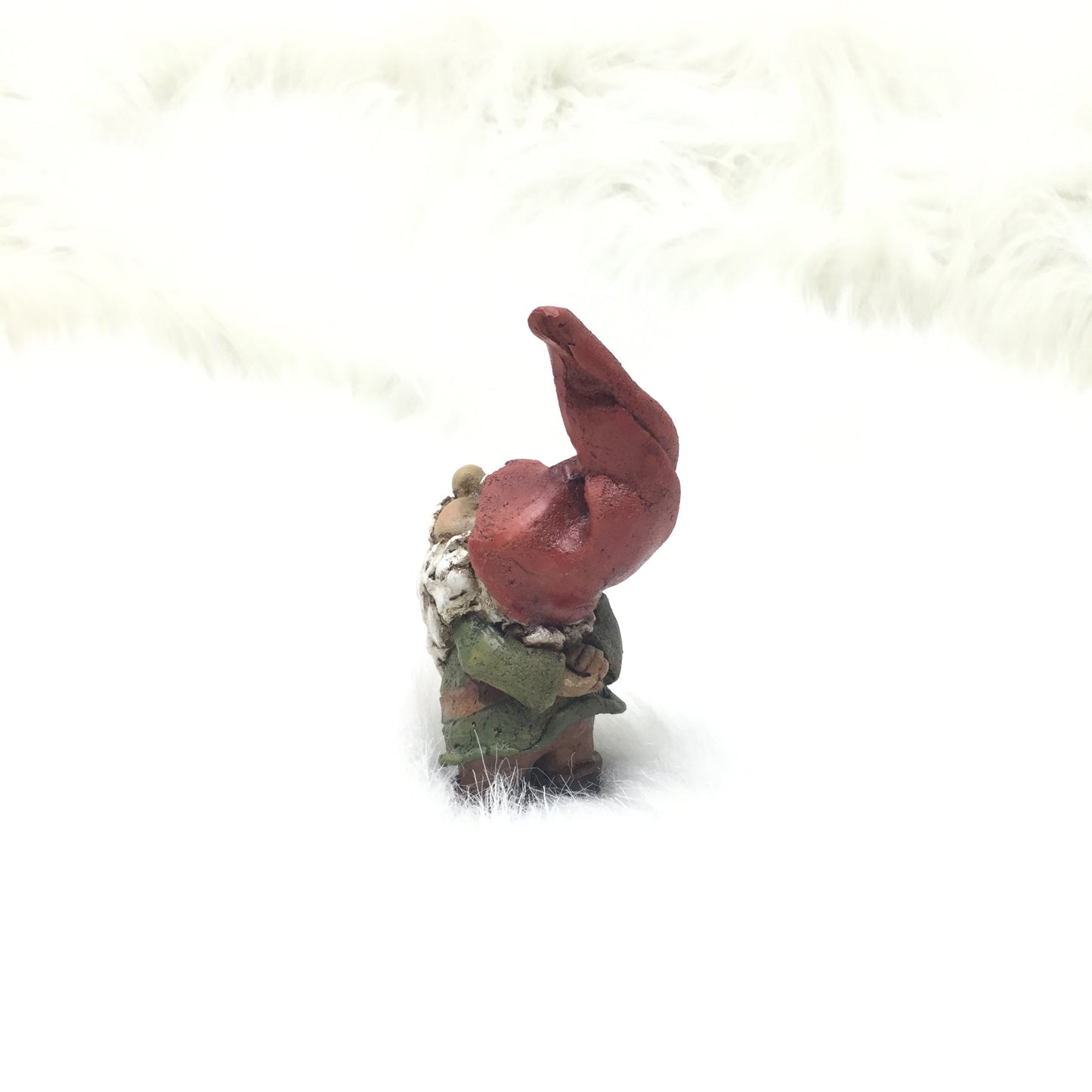 Astute Gnome