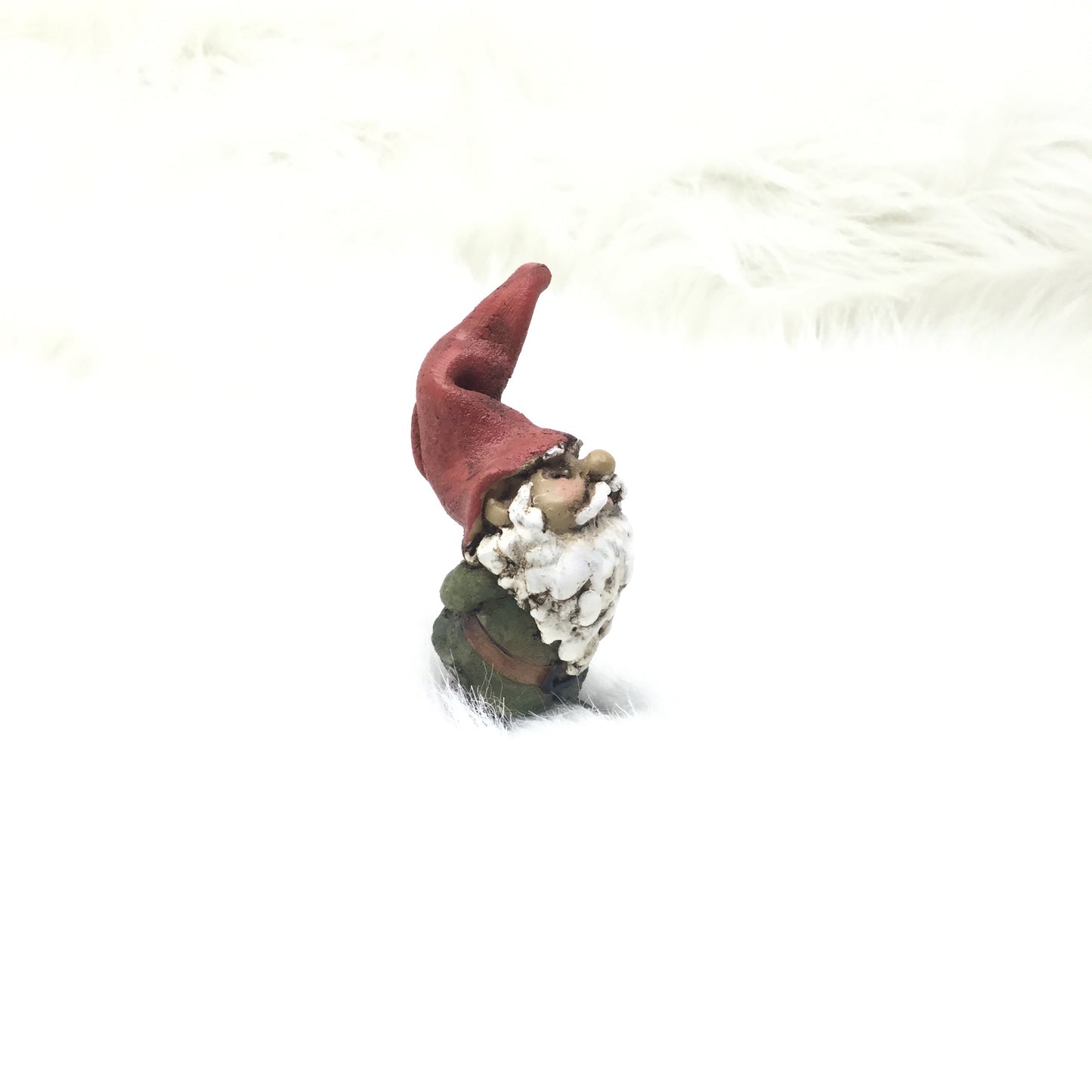 Astute Gnome