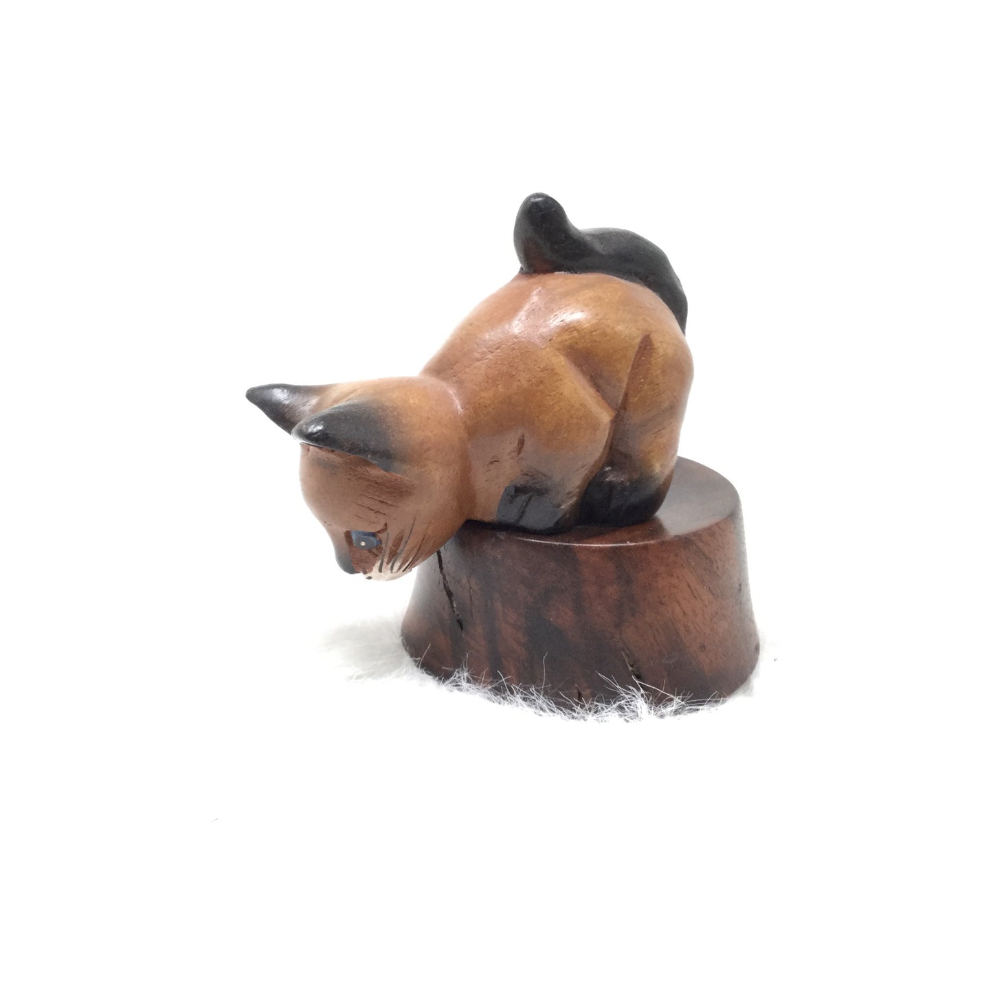 Shelf Sitting Cat