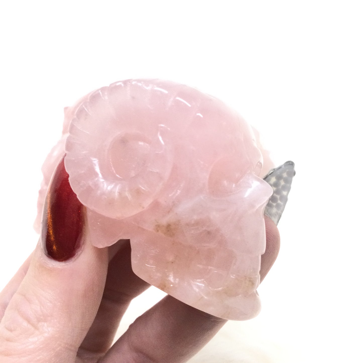 Rose Quartz Horned Skull