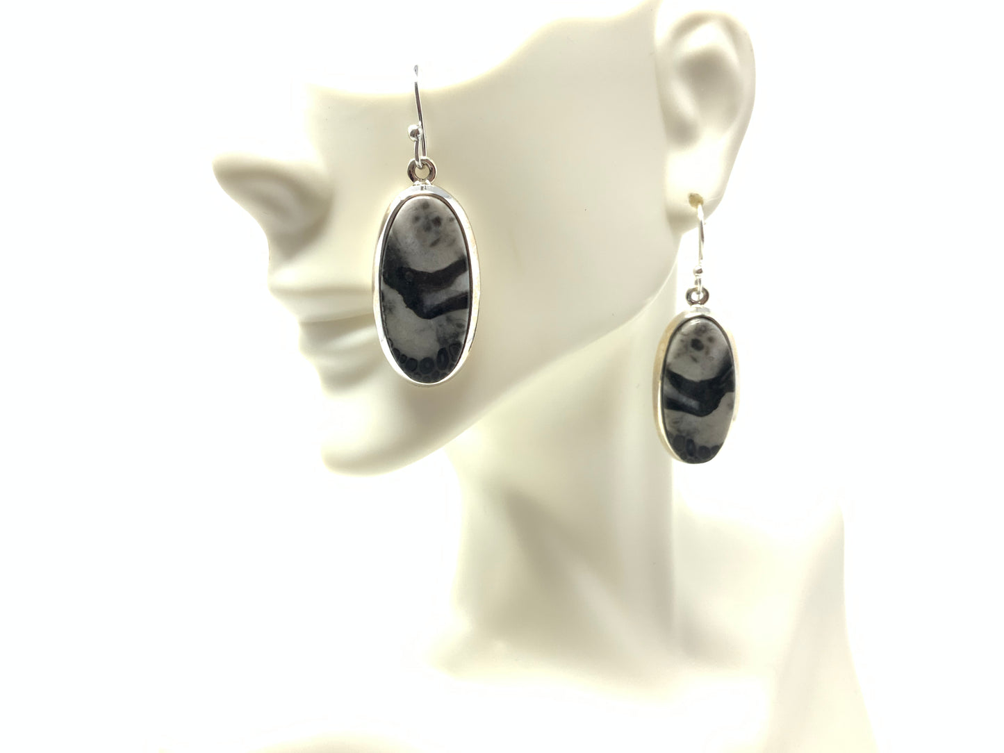 Orthoceras Earrings