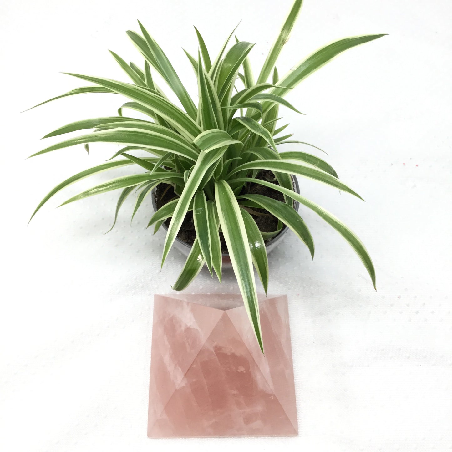 Large Rose Quartz Pyramid