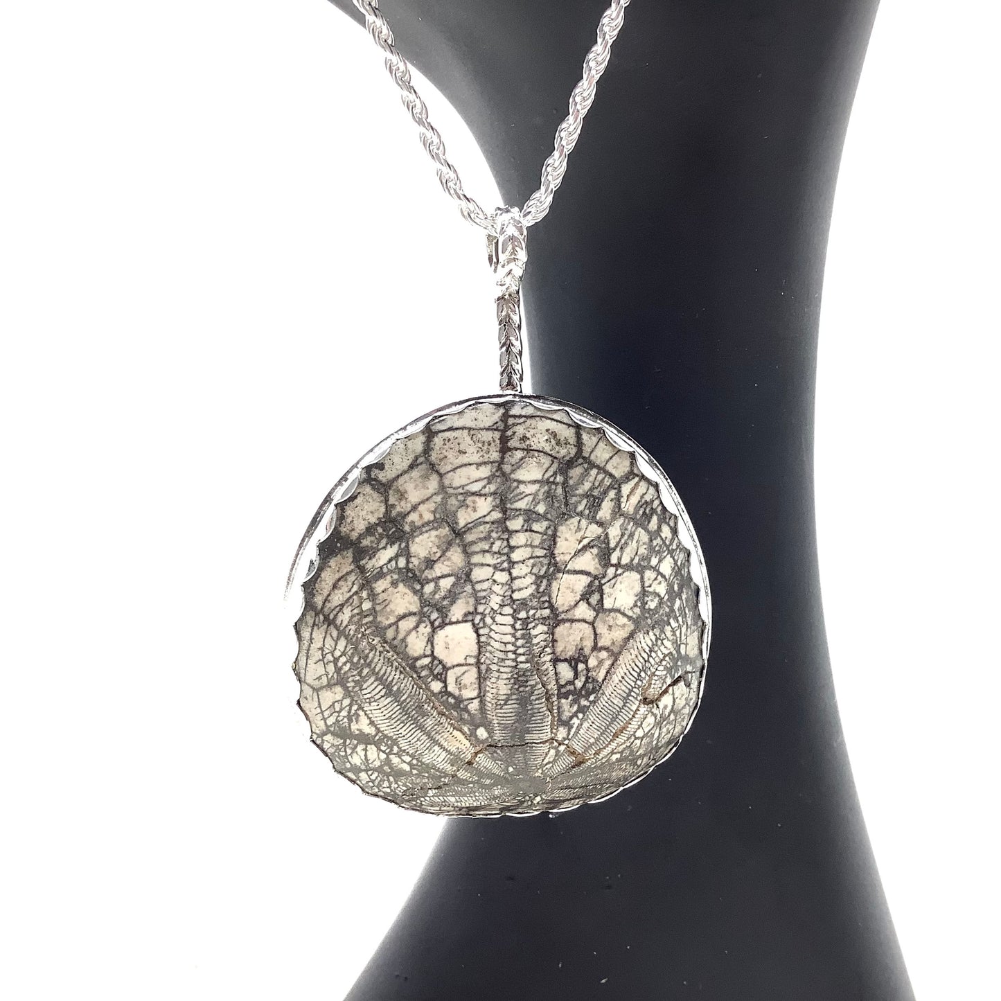 Shell Fossil Pendant