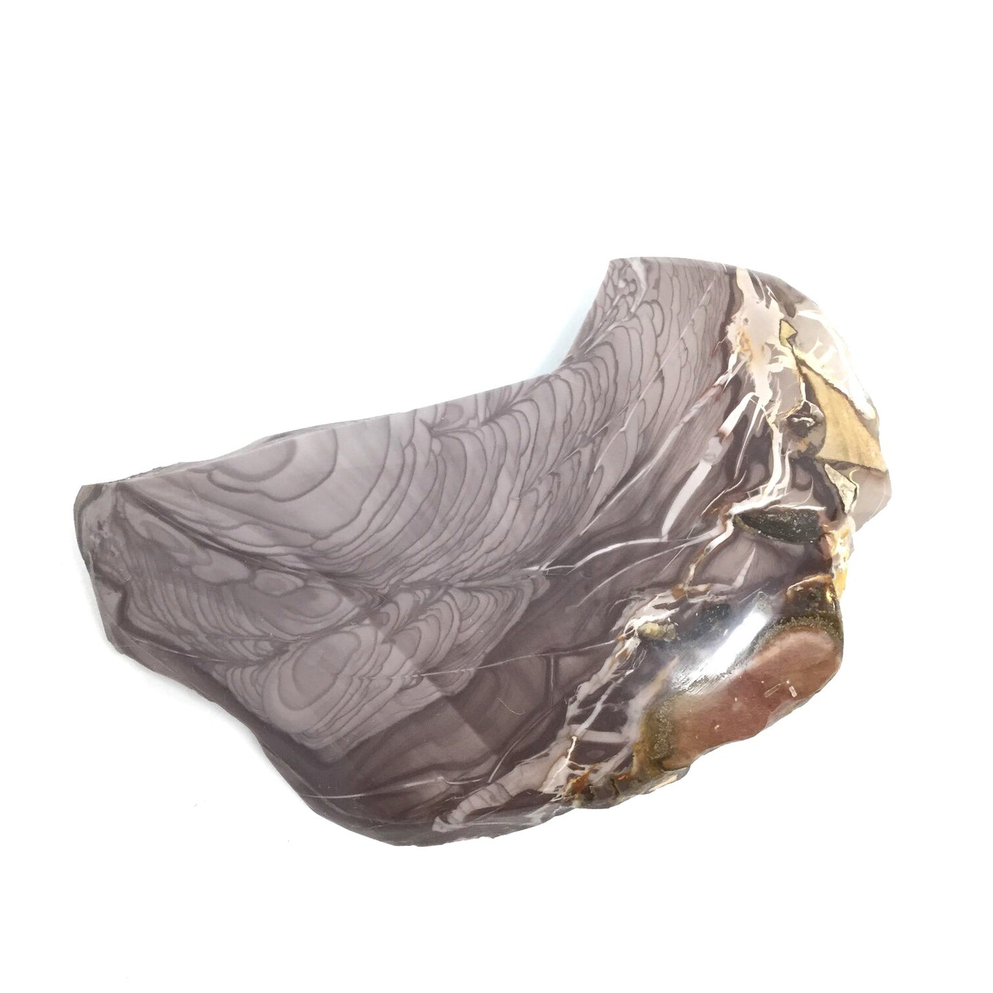 Highly Detailed Willow Creek Purple Pit Jasper