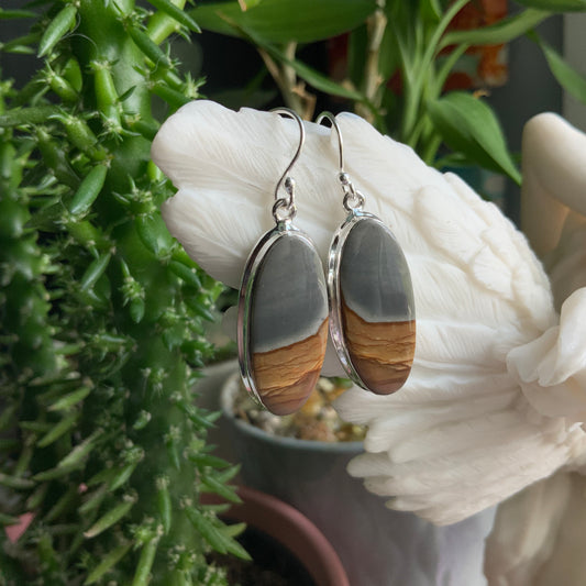 Picture Jasper Earrings