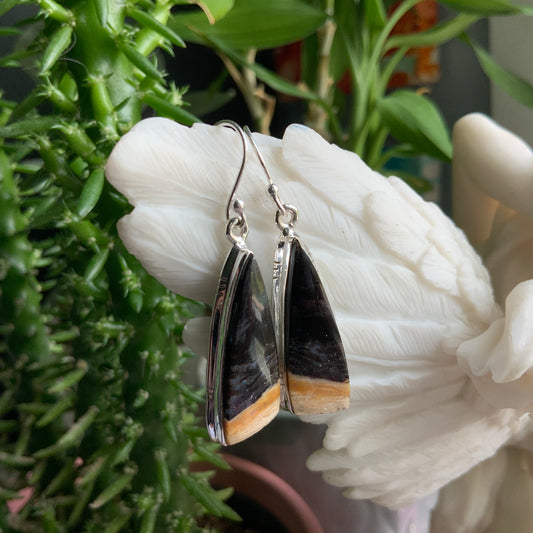 Petrified Palm Root Earrings