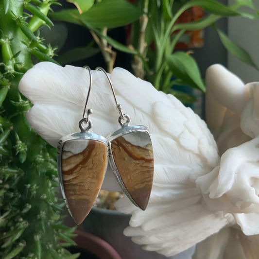 Picture Jasper Earrings
