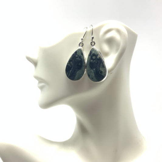 Kambaba Jasper Earrings