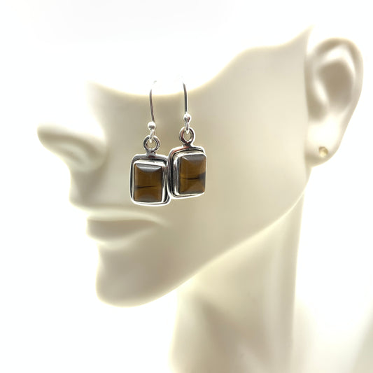 Tigers Eye Earrings