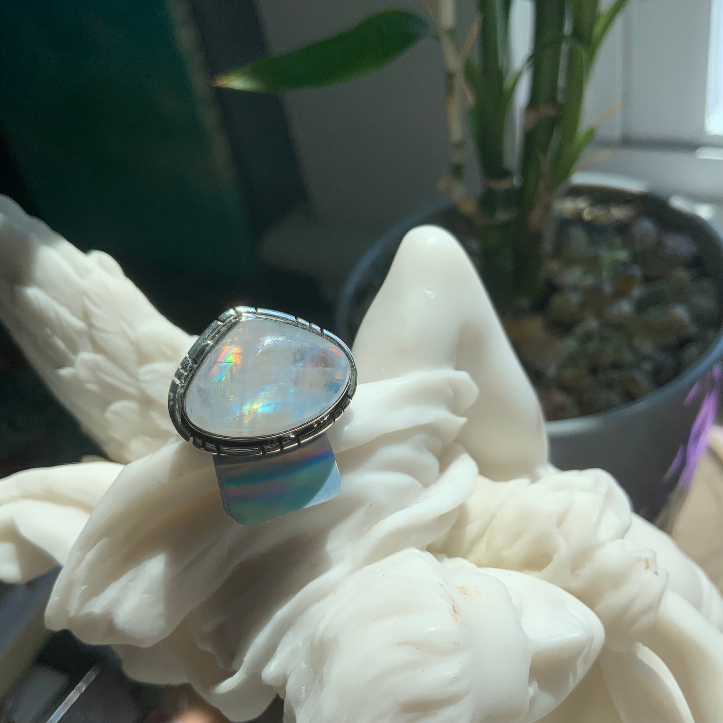 Moonstone Ring, size 6
