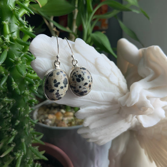 Dalmatian Stone Earrings
