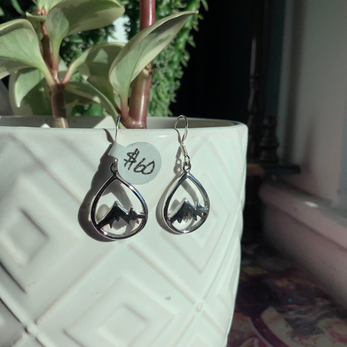 Mountain Scene Earrings