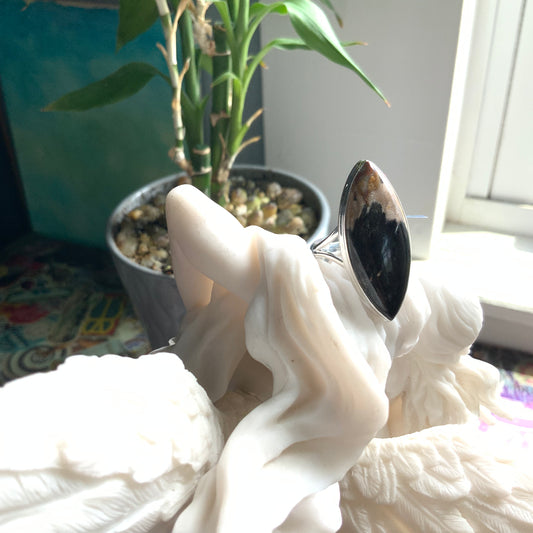 Petrified Palm Root Ring, size 10