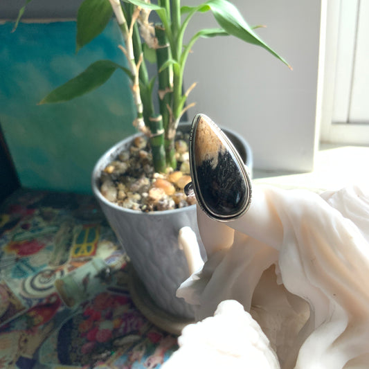 Petrified Palm Root Ring, size 7