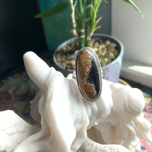 Petrified Palm Root Ring, size 7