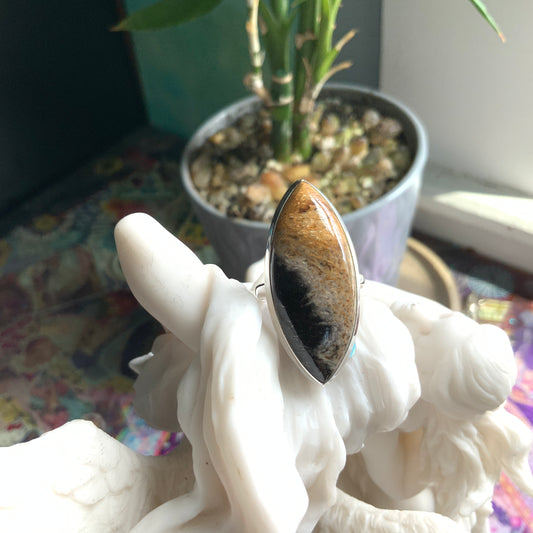 Petrified Palm Root Ring, size 9