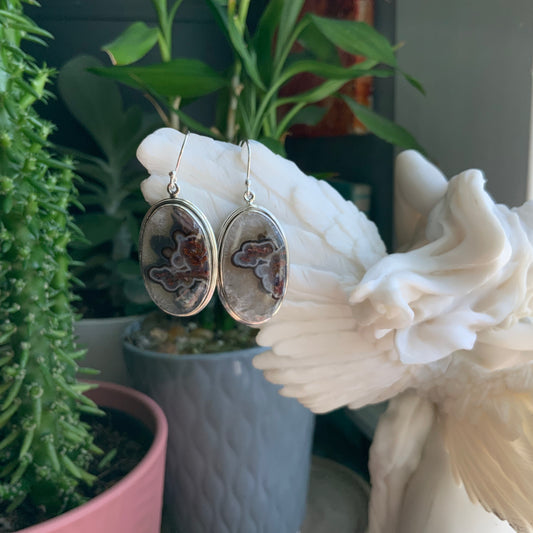 Crazy Lace Agate Earrings