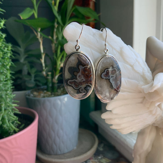 Crazy Lace Agate Earrings