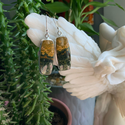 Ocean Jasper Earrings