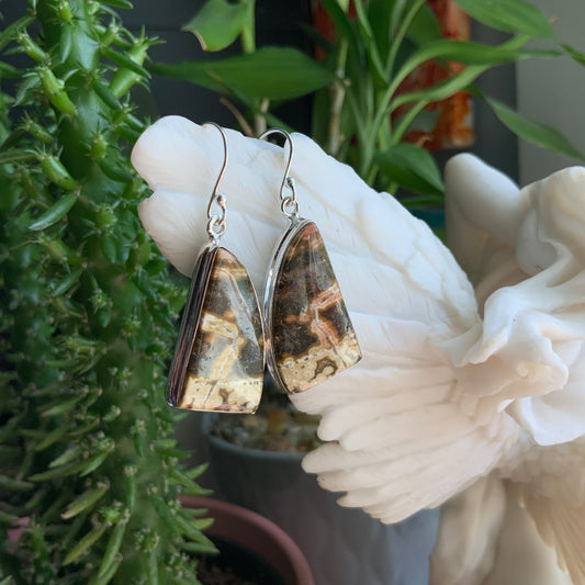 Ocean Jasper Earrings