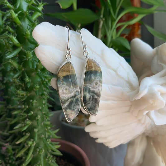 Ocean Jasper Earrings