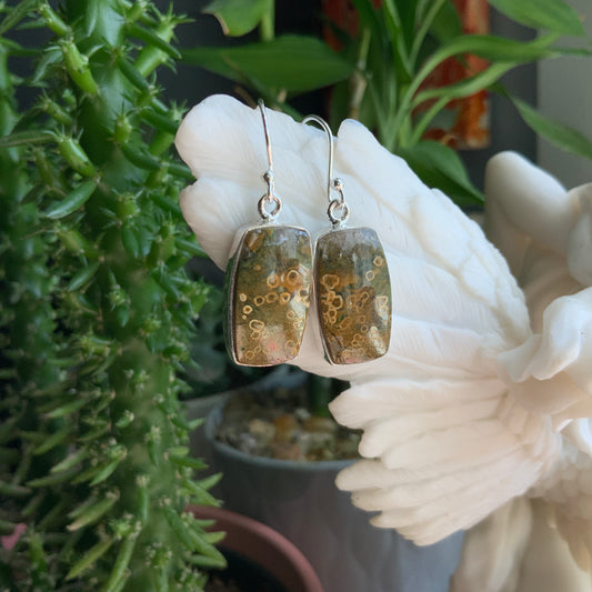 Ocean Jasper Earrings