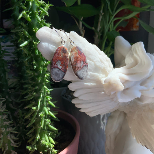 Crazy Lace Agate Earrings
