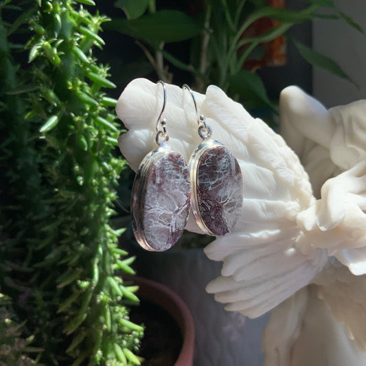 Crazy Lace Agate Earrings