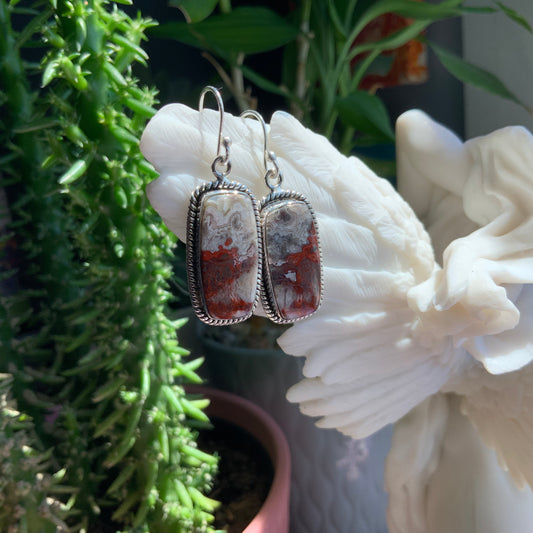 Crazy Lace Agate Earrings
