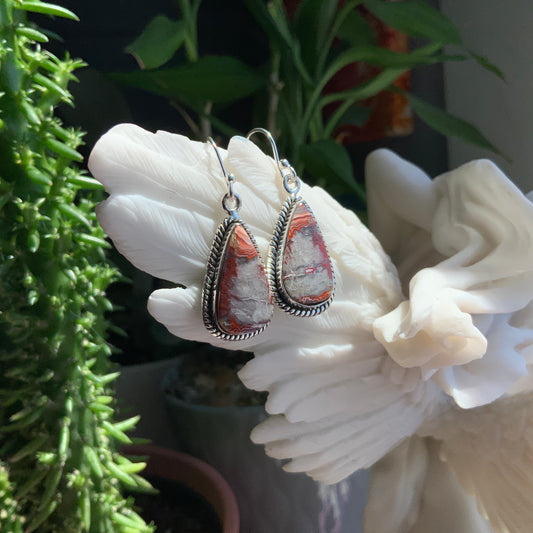 Crazy Lace Agate Earrings
