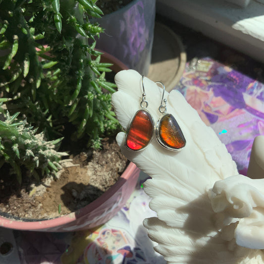 Ammolite Earrings