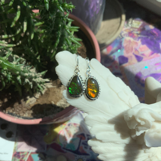 Ammolite Earrings