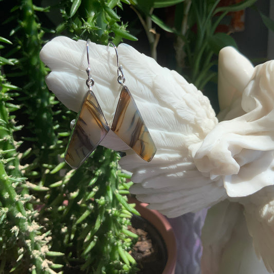 Montana Agate Earrings