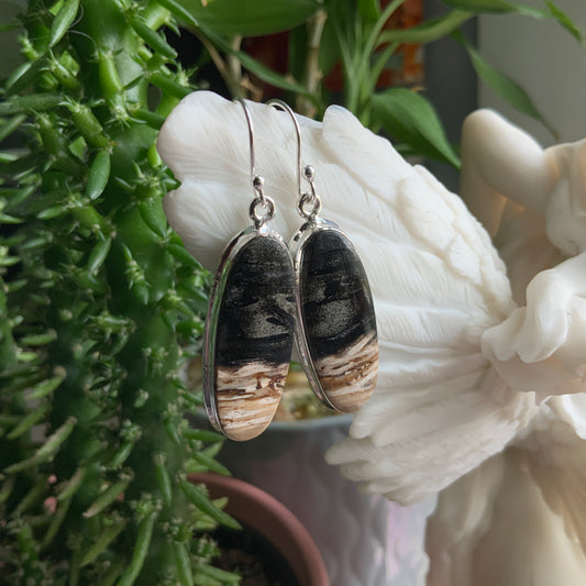 Petrified Palm Root Earrings
