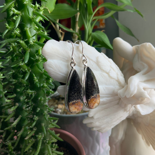 Petrified Palm Root Earrings