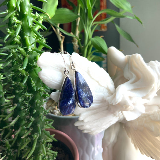 Sodalite Earrings