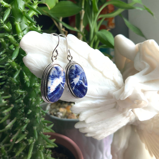 Sodalite Earrings