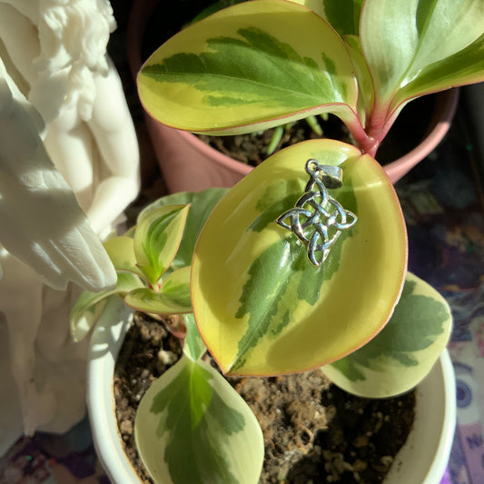 Celtic Knot Charm