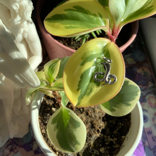 Cobra Charm
