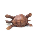Wood Carved Lifesized Turtle