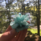 Alum Crystal