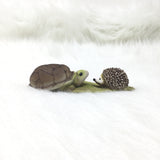 Turtle & Hedgehog