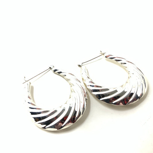 Large Hoop Earrings