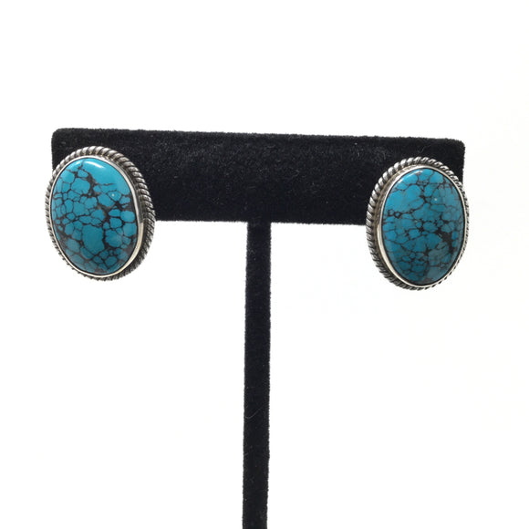 Turquoise Post Earrings