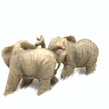 Baby Elephant Set