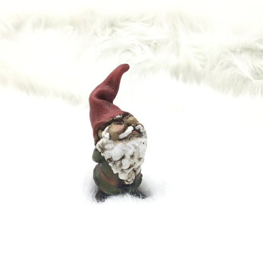Astute Gnome